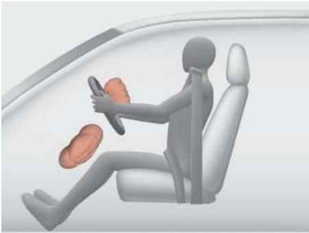 KIA Carnival (2021) - Avertissement - 1