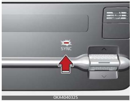 KIA Carnival (2021) - \* Remarque - 1