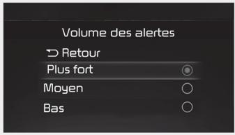 KIA Carnival (2021) - Avertissement - 1