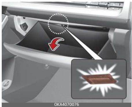 KIA Carnival (2021) - Lampe de boîte à gants (selon l'équipement) - 1