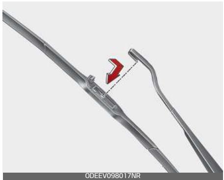 KIA Carnival (2021) - Type A - 5