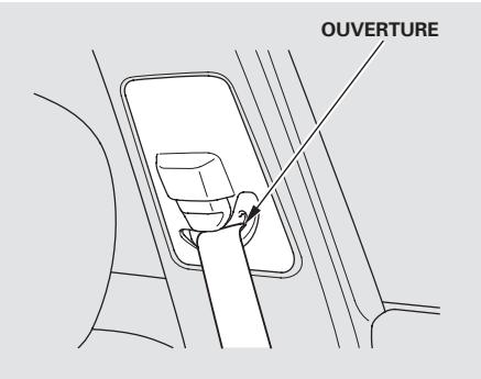 Acura TL (2014) - Nettoyage des ceintures de sécurité - 1