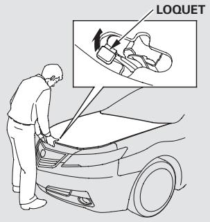 Acura TL (2014) - Ouverture et fermetre du capot - 2
