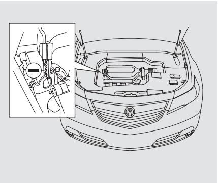 Acura TL (2014) - REMARQUE - 3