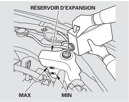 Acura TL (2014) - Appoint du liquide de refroidissement du moteur - 1