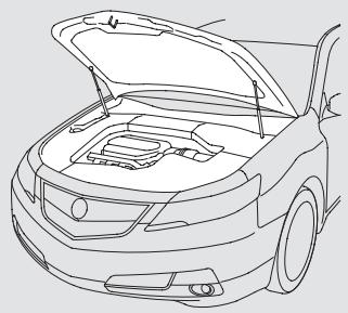 Acura TL (2014) - Ouverture et fermetre du capot - 3