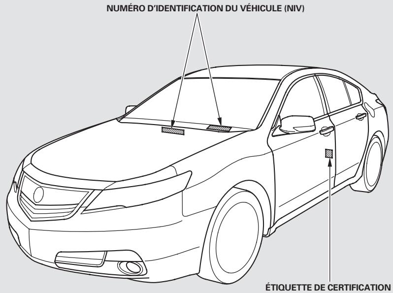Acura TL (2014) - REMARQUE - 1