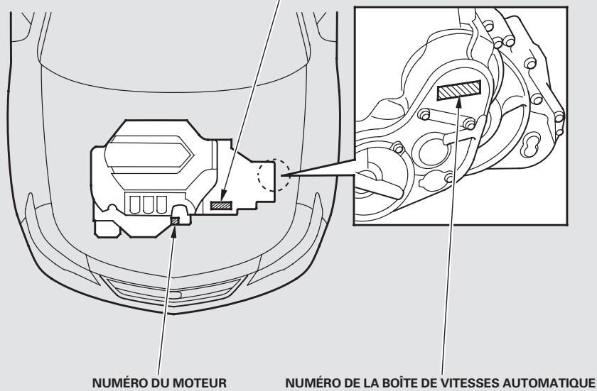 Acura TL (2014) - REMARQUE - 2
