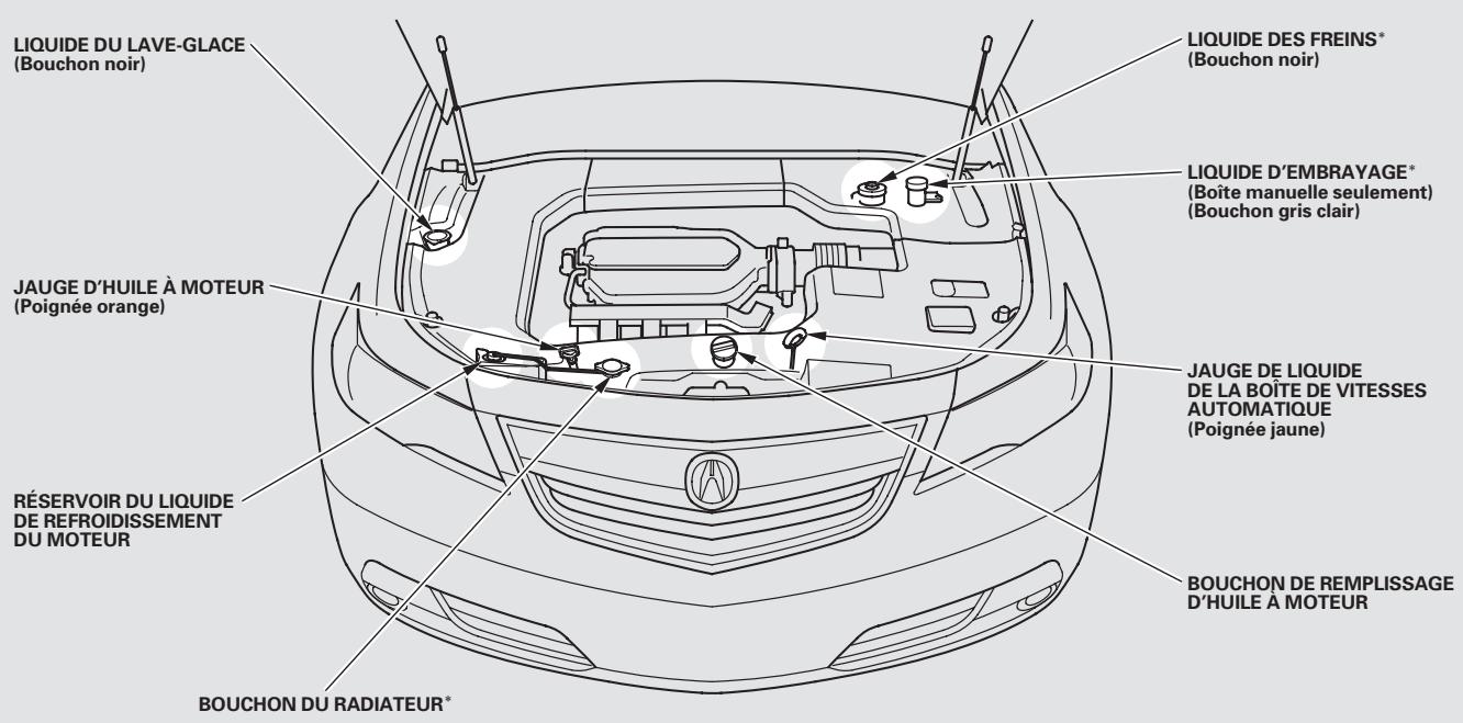Acura TL (2014) - Vérifications d'entretien par le propriétaire - 1