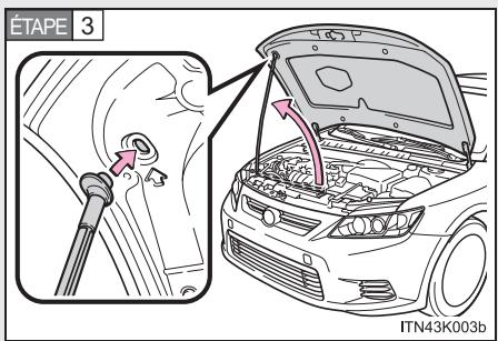 Scion tC 2 (2014) - Capot - 3