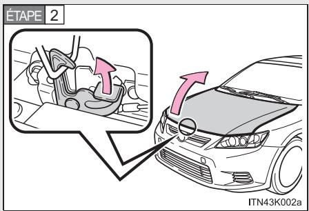 Scion tC 2 (2014) - Capot - 2