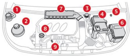 CITROEN Berlingo 3 (2018-2023) - Compartiment moteur - 1