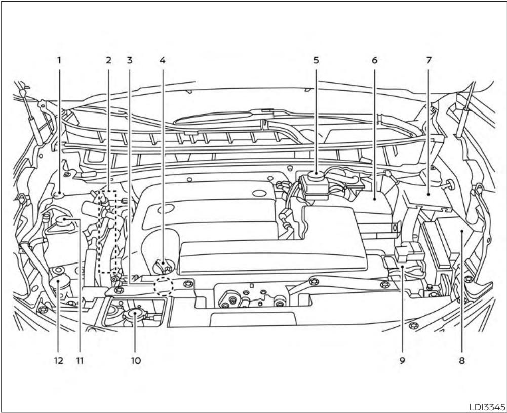 NISSAN Murano (2019) - POINTS DE VERIFICATION DANS LE COMPARTIMENT MOTEUR - 1