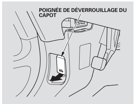 Honda Pilot (2002-2006) - Ouverture du capot - 1