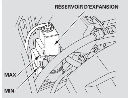 Honda Pilot (2002-2006) - Vérification du liquide de refroidissement du moteur - 1