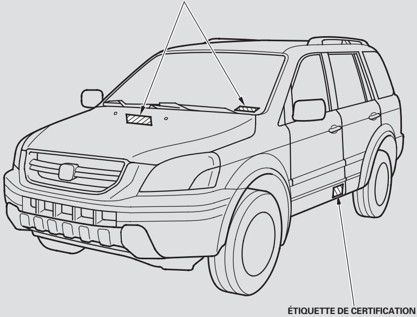 Honda Pilot (2002-2006) - Côté passager - 2