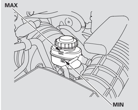 Honda Pilot (2002-2006) - Courroie de distribution - 1