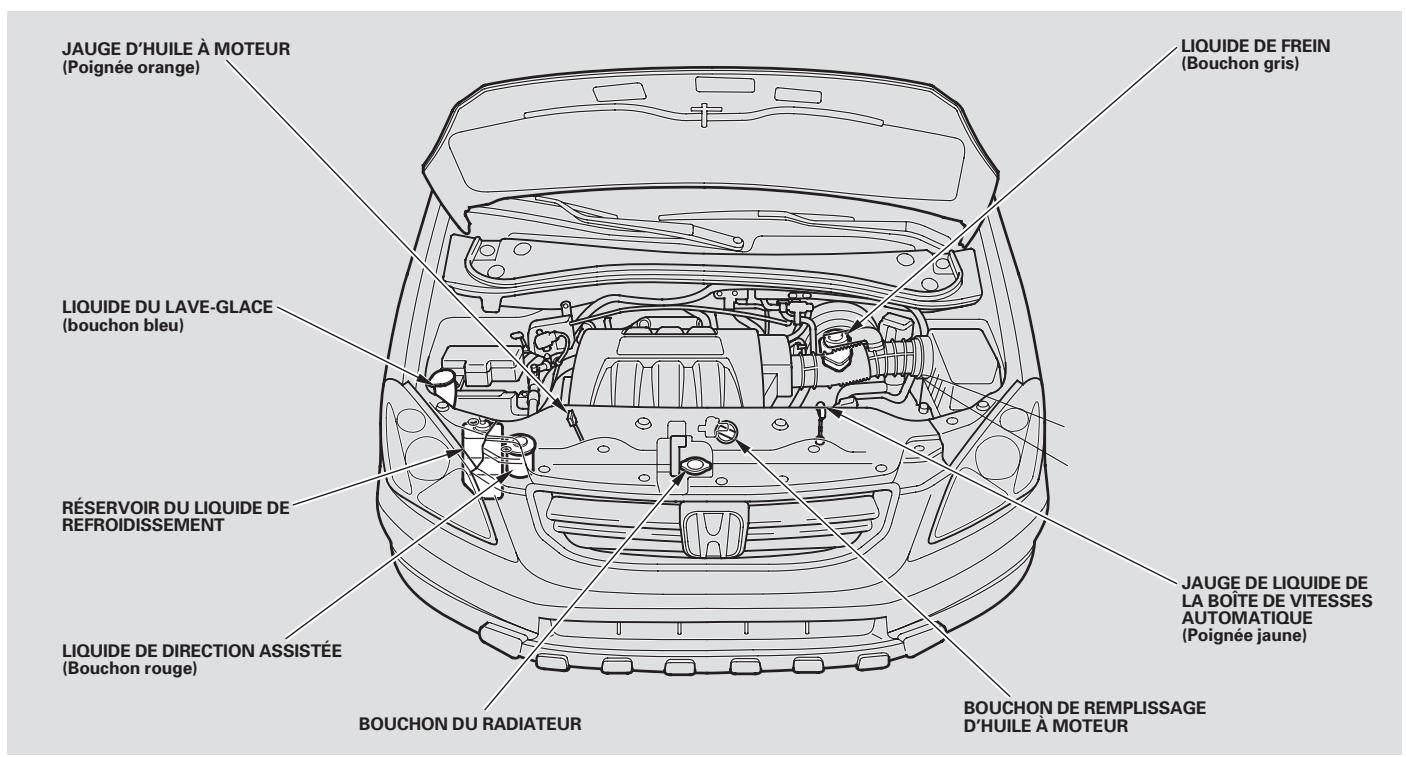 Honda Pilot (2002-2006) - Vérifications d'entretien par le propriétaire - 1