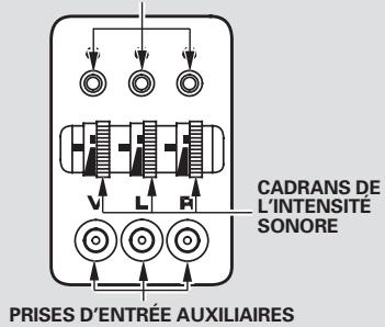 Honda Pilot (2002-2006) - Remplacement des piles - 4