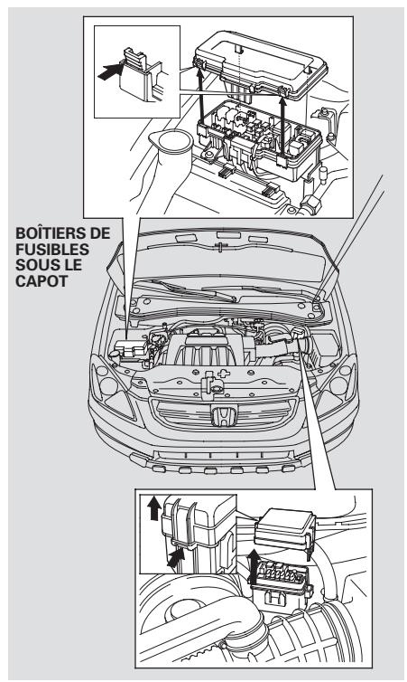 Honda Pilot (2002-2006) - REMARQUE - 3