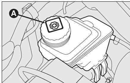 FIAT Linea (2007-2018) - ATTENTION - 1