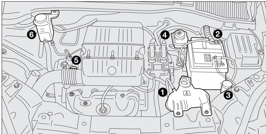 FIAT Linea (2007-2018) - ATTENTION - 2