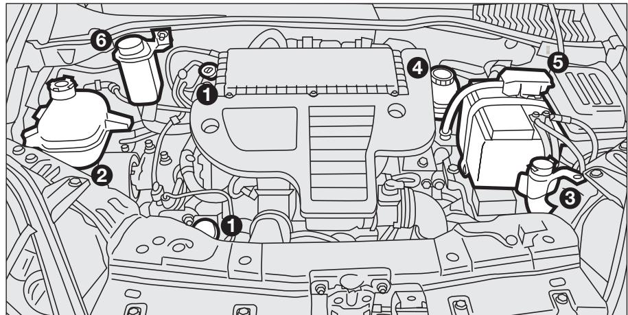 FIAT Linea (2007-2018) - ATTENTION - 3