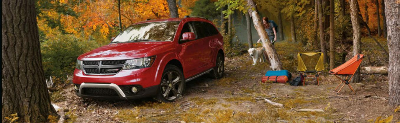 DODGE Journey (2020) - AVERTISSEMENT - 1