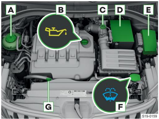 SKODA Kodiaq (2017-2021) - Console centrale et siège passager avant - 2