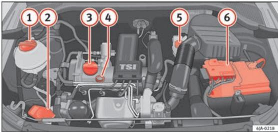 SEAT Toledo 4 (2015-2019) - Contrôle des niveaux - 1