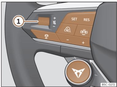 Cupra Formentor (2024) - Volant multifonction - 1