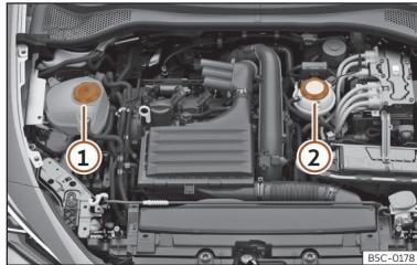 Cupra Formentor (2024) - Réservoir de liquide de refroidissement - 1