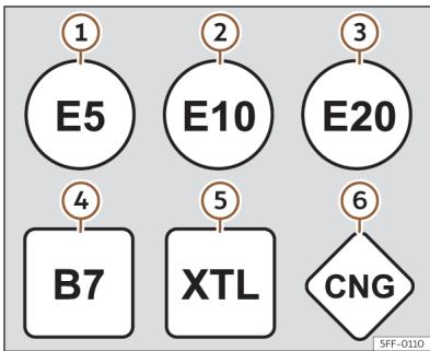 Cupra Formentor (2024) - Types de carburant - 1
