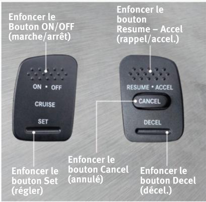 DODGE Dakota 3 Phase 2 (2008-2011) - RÉGULATEUR DE VITESSE - 1