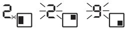 BRICO DEPOT 5059340994338 - Utilisation de la minuterie - 8