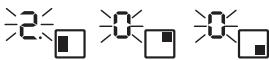 BRICO DEPOT 5059340994338 - Utilisation de la minuterie - 2