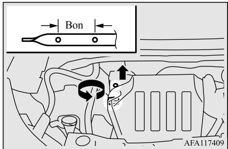 Bon AFA117409