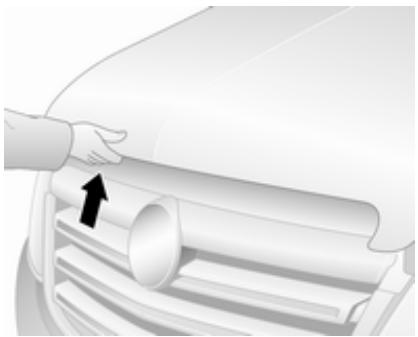 OPEL Movano B Phase 1 (2010-2020) - Ouverture - 2