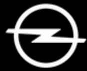 OPEL Movano B Phase 1 (2010-2020) - 2