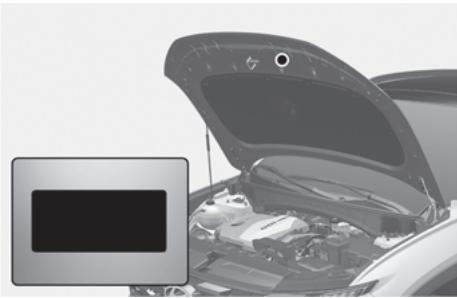 HYUNDAI Tucson NX4 Phase 2 (2024) - Étiquette de réfrigérant - 1