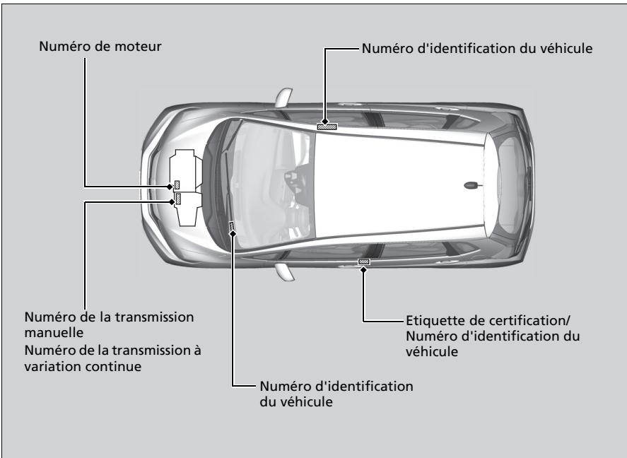 Honda Jazz 3 Phase 2 (2018-2020) - Numéro d'identification du véhicule (VIN), numéro de moteur et numéro de la transmission - 1