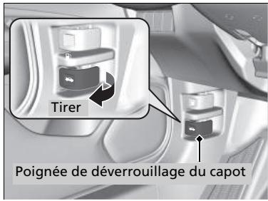 Honda Jazz 3 Phase 2 (2018-2020) - Ouverture du capot - 1