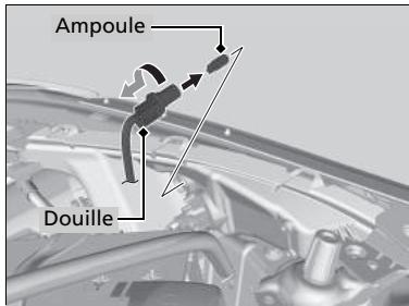 Honda Jazz 3 Phase 2 (2018-2020) - Feux de position : 5 W - 1