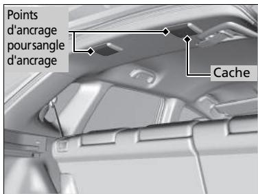 Honda Jazz 3 Phase 2 (2018-2020) - Protection accrue grâce à une sangle supérieure - 1