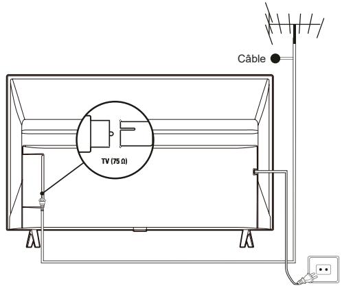 TCL 43S59K - Branchez l'alimentation et l'antenne - 1