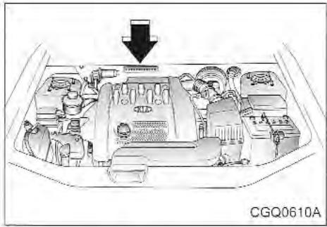 KIA Sedona KV2 (2002-2005) - Numero d'identification du vehicule (NIV) - 2