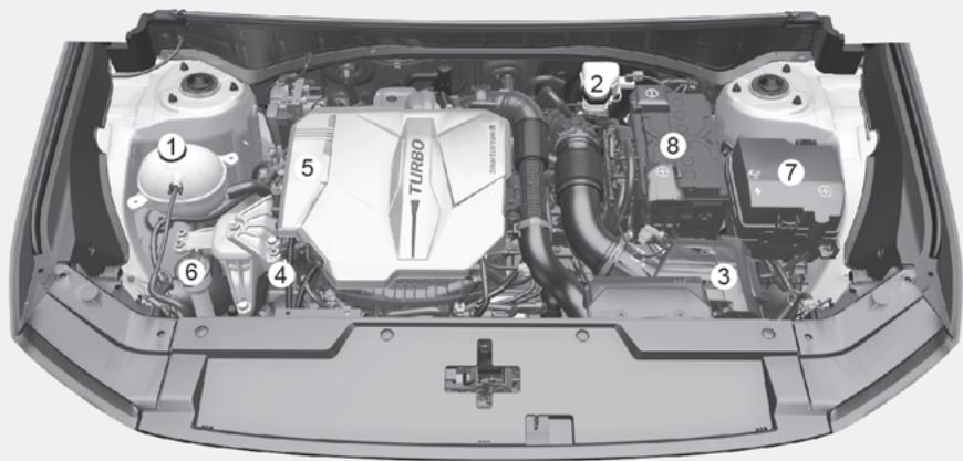 HYUNDAI Santa Fe TM Phase 2 (2020-2023) - Compartiment moteur - 1
