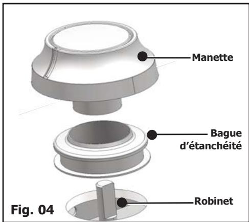 BRANDT BPE6411WM - CONSEIL - 4