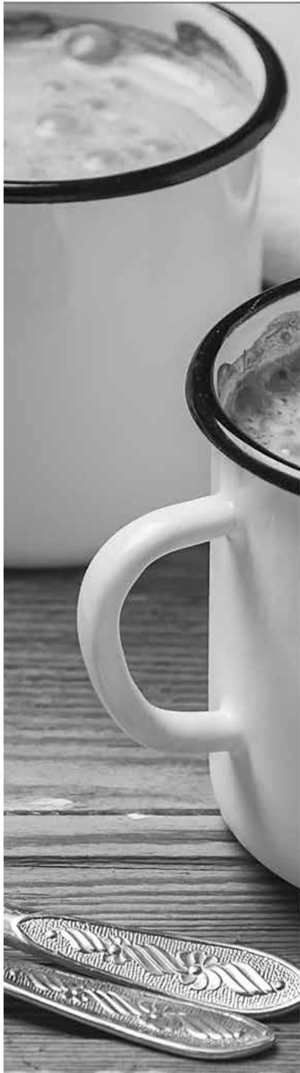 RIVIERA & BAR BCL540 - idees recettes - 1