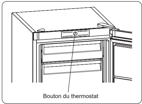 Bouton du thermostat